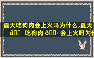 夏天吃狗肉会上火吗为什么,夏天 🌴 吃狗肉 🌷 会上火吗为什么不能吃